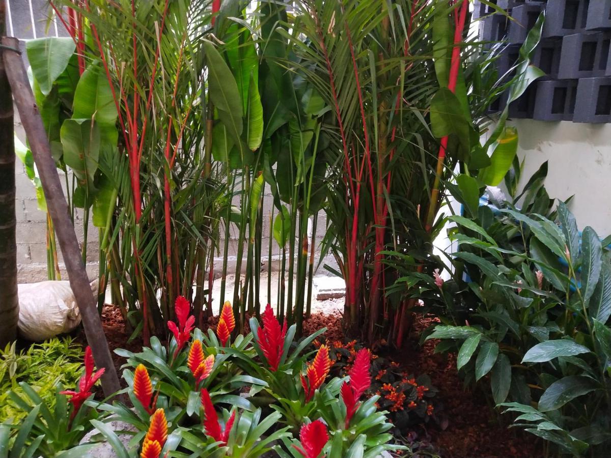 Hotel De Sripoom -Sha Extra Plus Chiang Mai Eksteriør billede